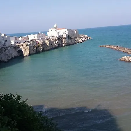 Parisi Vieste